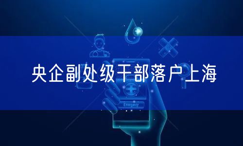 央企副处级干部落户上海