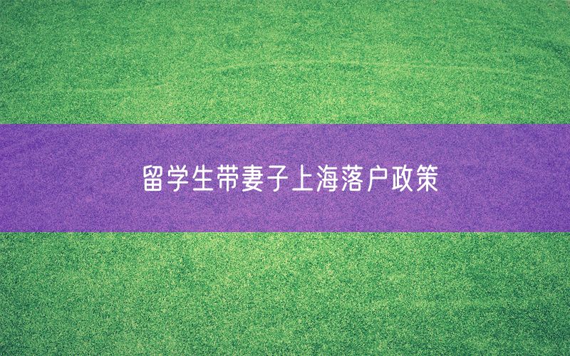 留学生带妻子上海落户政策