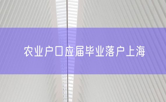 农业户口应届毕业落户上海