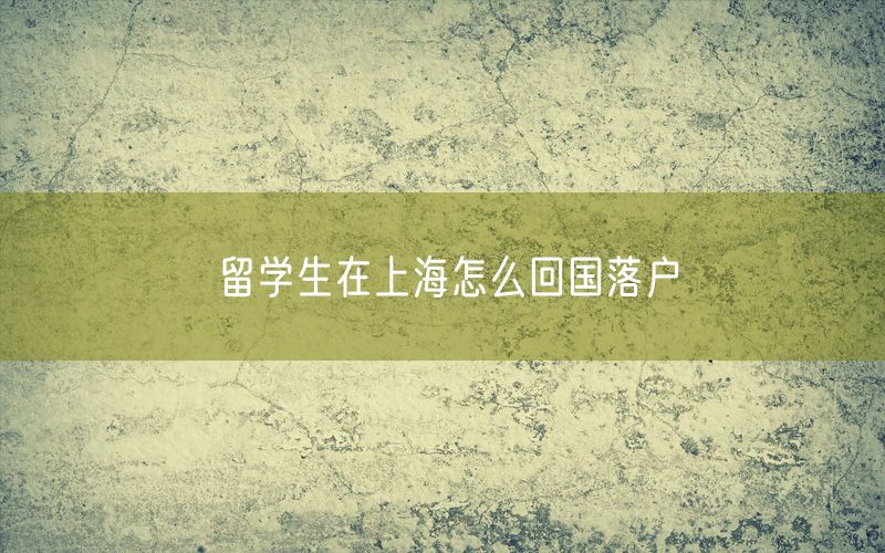 留学生在上海怎么回国落户