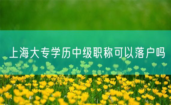 上海大专学历中级职称可以落户吗