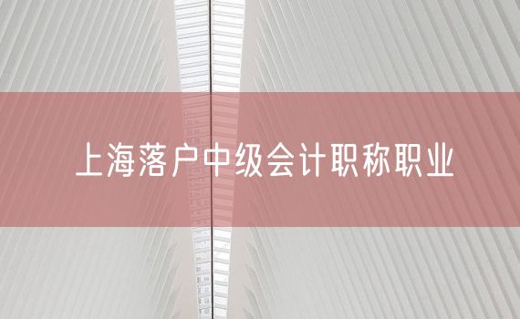 上海落户中级会计职称职业