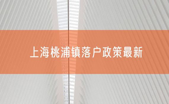 上海桃浦镇落户政策最新