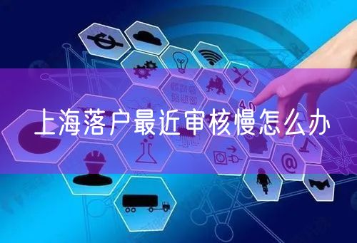 上海落户最近审核慢怎么办