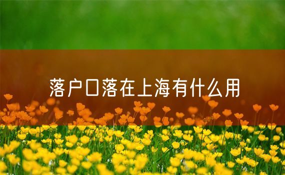 落户口落在上海有什么用