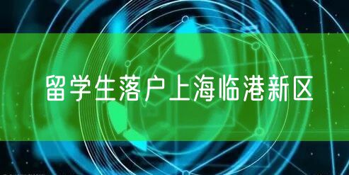 留学生落户上海临港新区