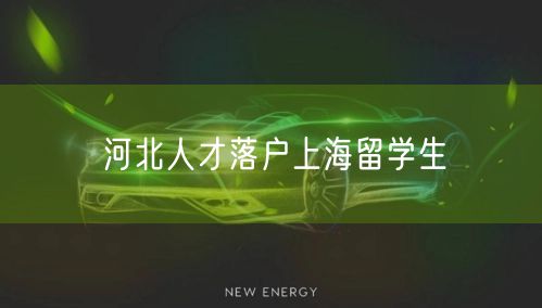 河北人才落户上海留学生