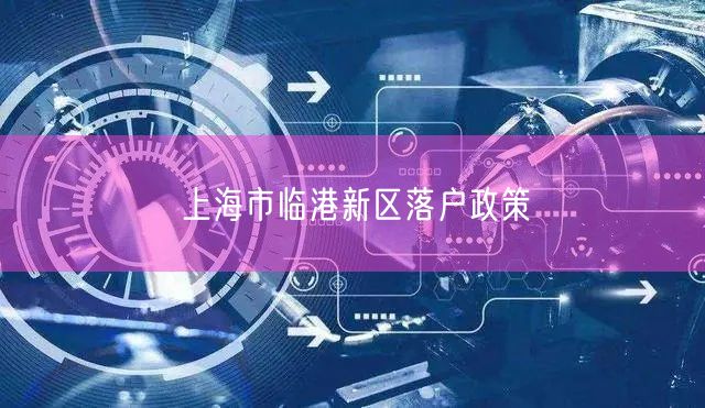 上海市临港新区落户政策