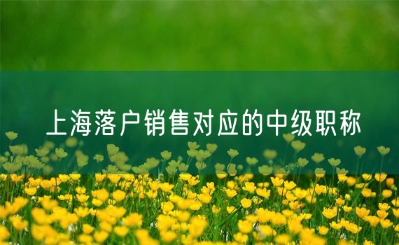 上海落户销售对应的中级职称