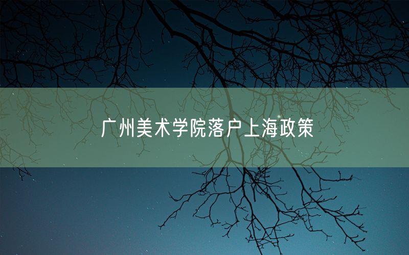 广州美术学院落户上海政策