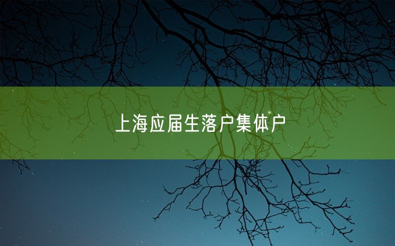 上海应届生落户集体户