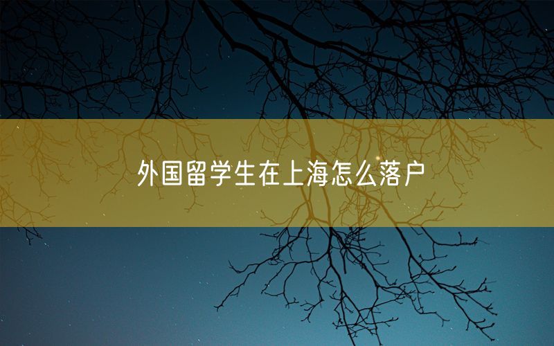 外国留学生在上海怎么落户