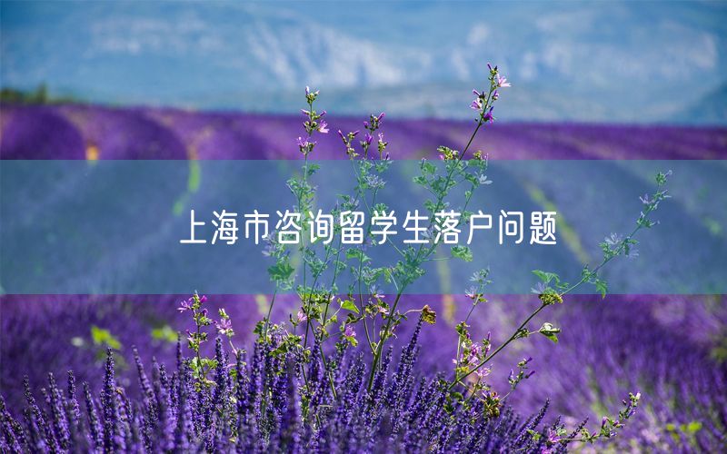 上海市咨询留学生落户问题
