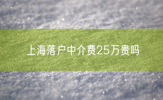 上海落户中介费25万贵吗