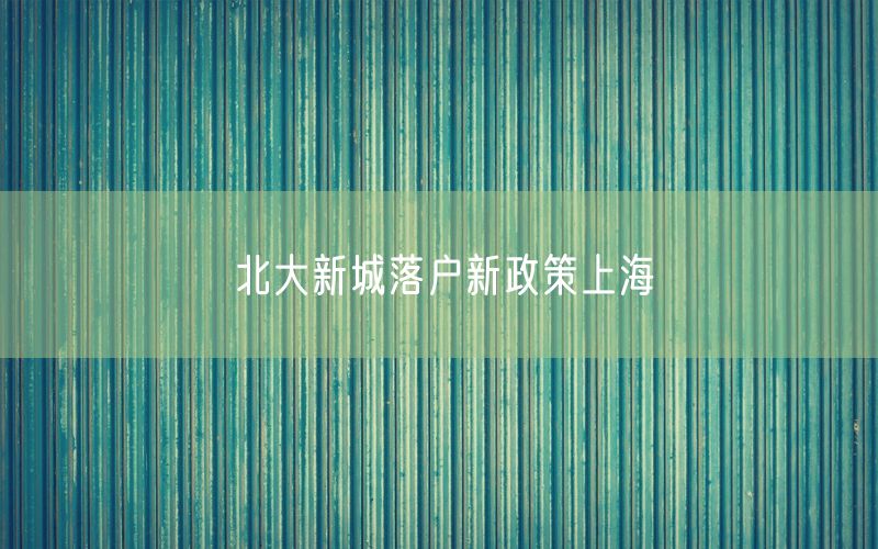 北大新城落户新政策上海