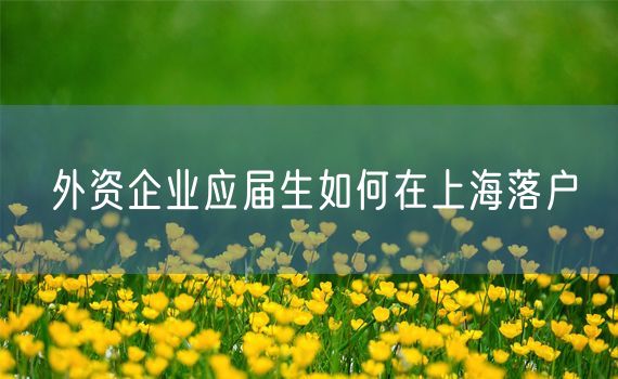 外资企业应届生如何在上海落户