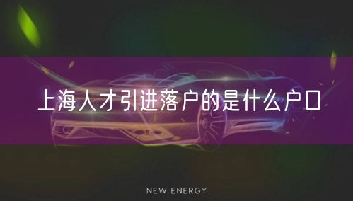 上海人才引进落户的是什么户口