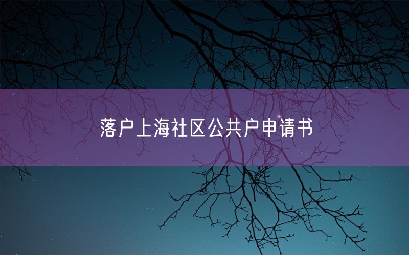落户上海社区公共户申请书