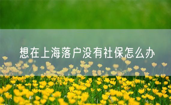 想在上海落户没有社保怎么办