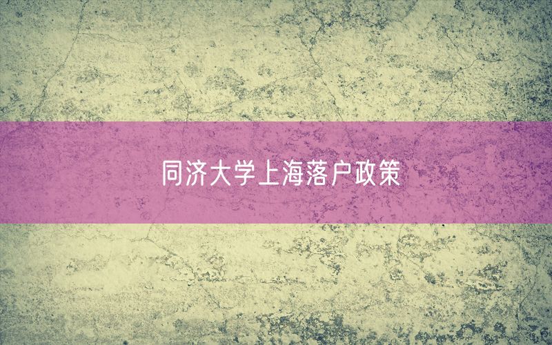 同济大学上海落户政策
