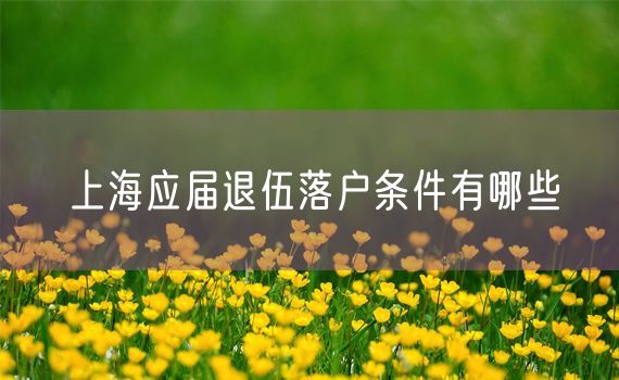上海应届退伍落户条件有哪些