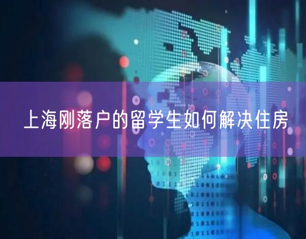 上海刚落户的留学生如何解决住房