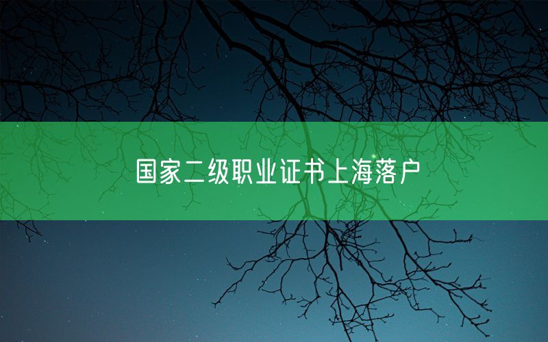 国家二级职业证书上海落户