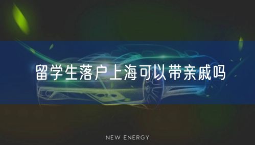 留学生落户上海可以带亲戚吗
