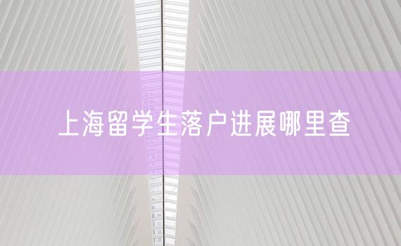 上海留学生落户进展哪里查