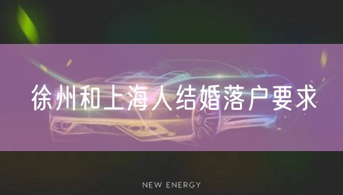 徐州和上海人结婚落户要求