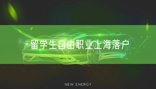 留学生自由职业上海落户