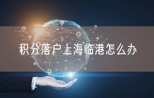 积分落户上海临港怎么办