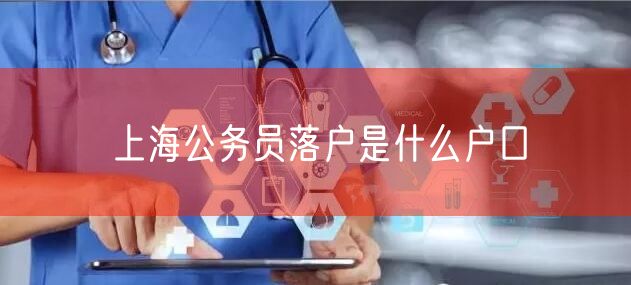上海公务员落户是什么户口