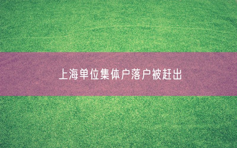 上海单位集体户落户被赶出