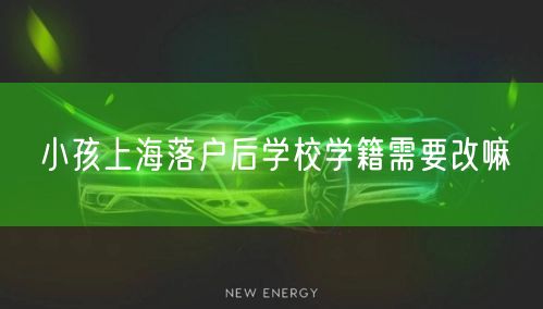 小孩上海落户后学校学籍需要改嘛