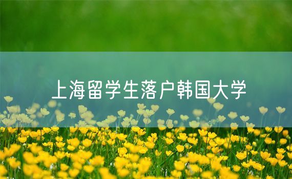 上海留学生落户韩国大学