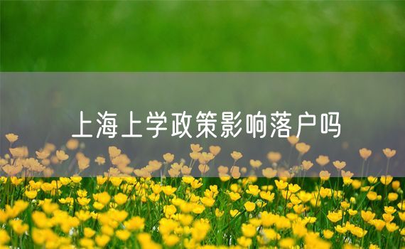 上海上学政策影响落户吗