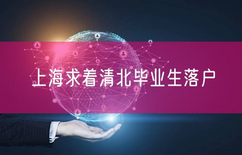 上海求着清北毕业生落户