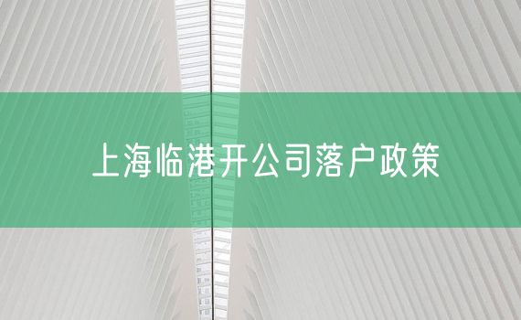 上海临港开公司落户政策