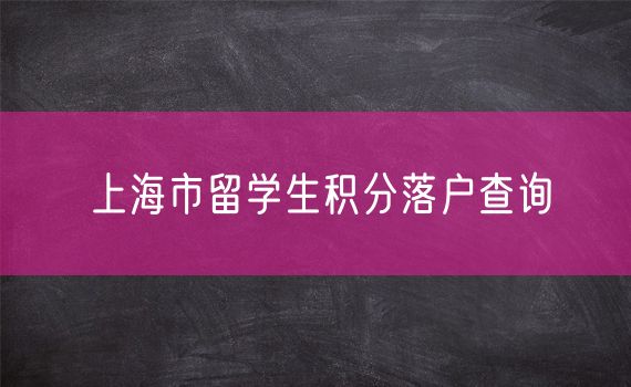 上海市留学生积分落户查询
