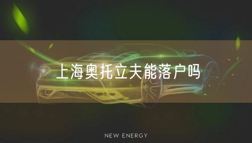 上海奥托立夫能落户吗