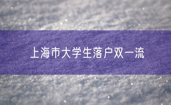 上海市大学生落户双一流