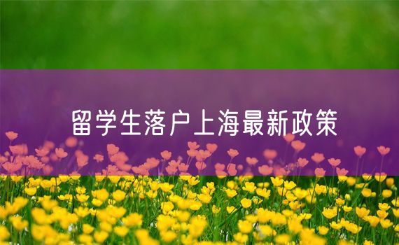 留学生落户上海最新政策