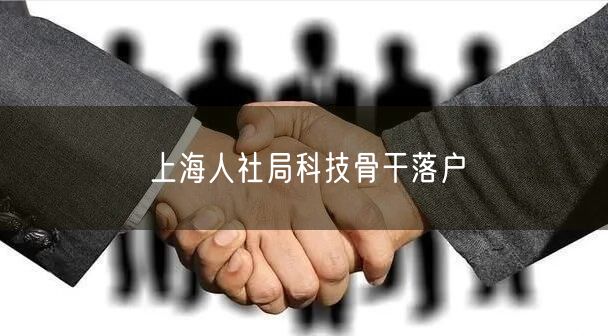上海人社局科技骨干落户