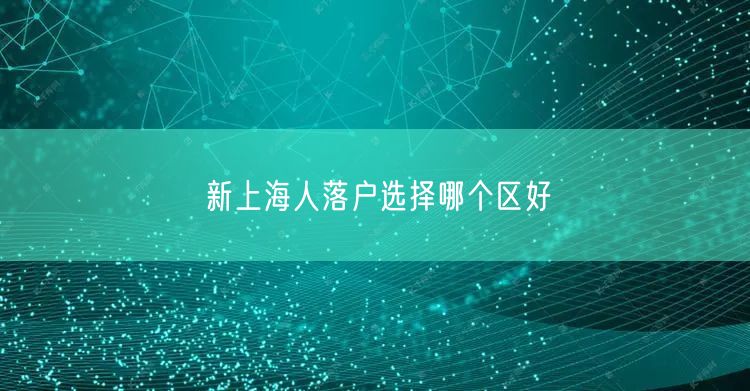 新上海人落户选择哪个区好