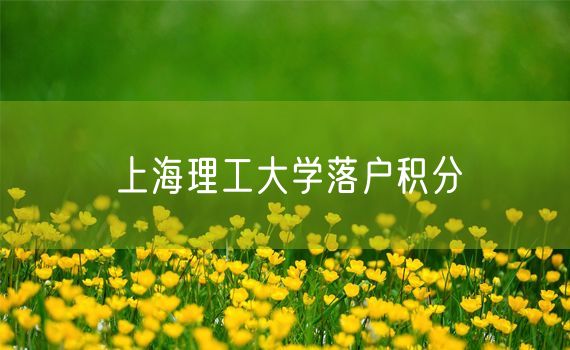 上海理工大学落户积分