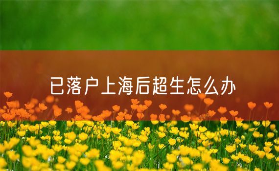 已落户上海后超生怎么办