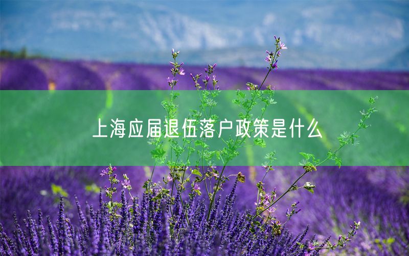 上海应届退伍落户政策是什么