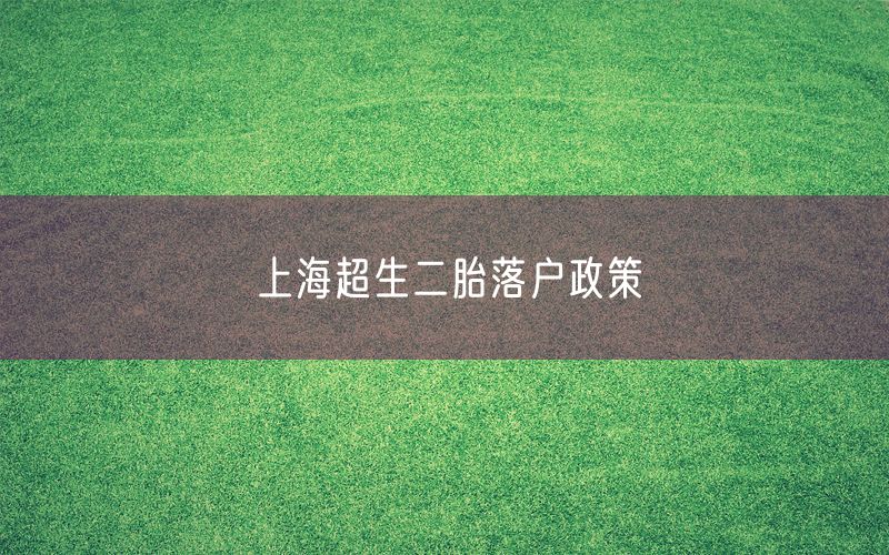 上海超生二胎落户政策
