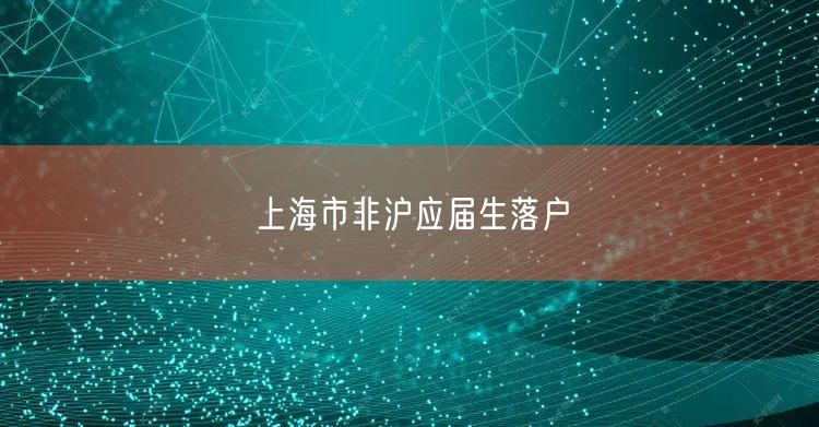 上海市非沪应届生落户
